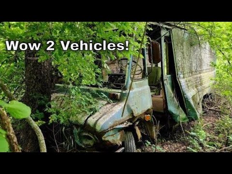 Discovering A Hidden Treasure In The Woods