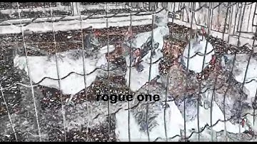 Logic - Rogue One (Music Video)