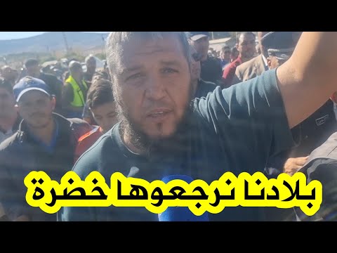 رئيس جمعية الجزائر الخضراء فؤاد معلى يعب ر عن فخره الكبير بعد إقبال الجزائريين على حملة مليون شجرة