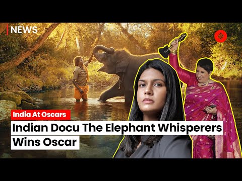 Oscar-nominated documentary The Elephant Whisperers is cuteness unlimited