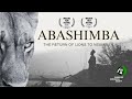 Abashimba The Return Of Lions To Nsumbu Abashimba The Return Of Lions To Nsumbu