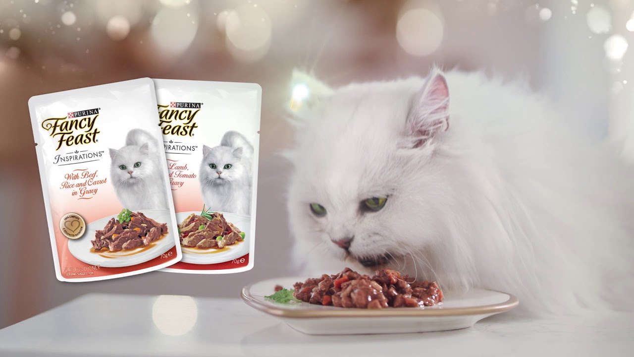 FANCY FEAST Inspirations Christmas 2020 - YouTube - Fancy Feast Making Cats Sick 2024