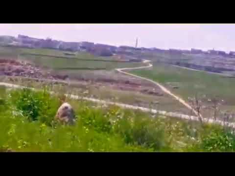 علي دولي حلب قبتان الجبل