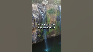 🚨 WordPress HACKED - Update ASAP! #wordpress #hack #exploit