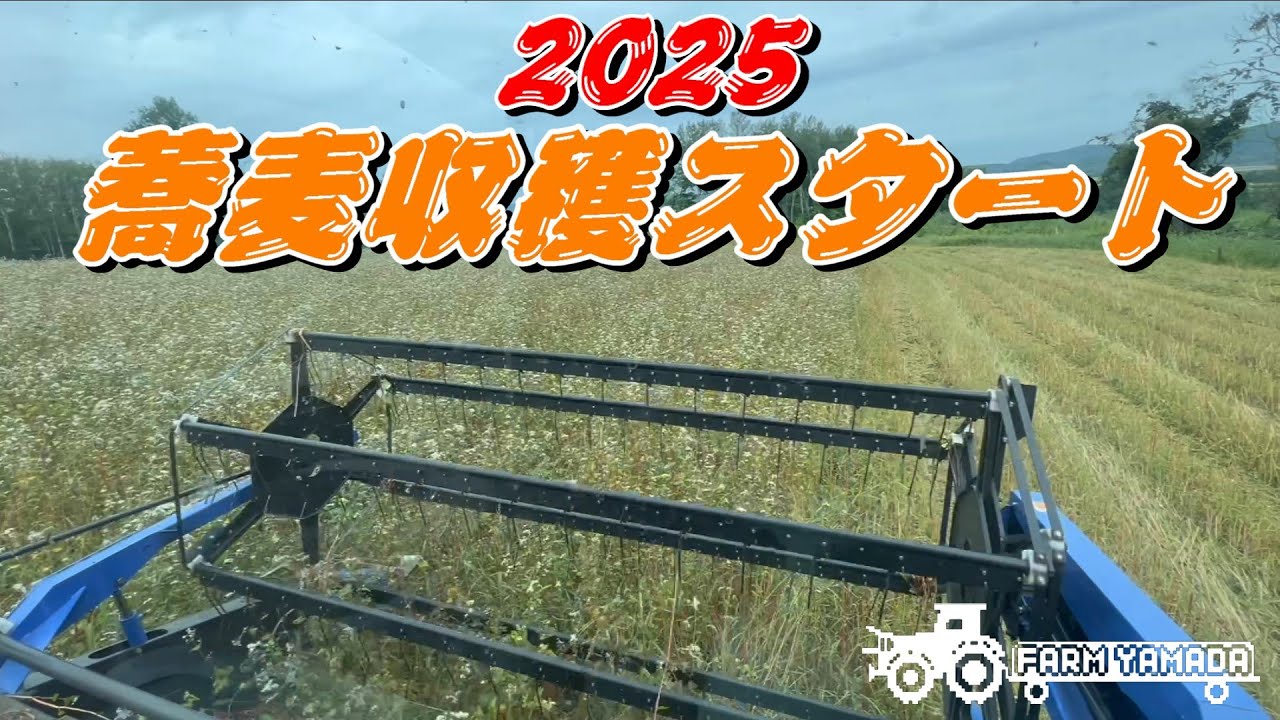 2025 蕎麦収穫スタート～3台で早蕎麦収穫～