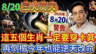 8月20號丙寅日必看！5生肖穿卡其色，3種人穿白色，2026馬年順風順水順財神！#國學 #黃帝內經 #易經 #生肖 #開運 #招財 #養生 #大夏 #補財庫 #風水 #taiwan