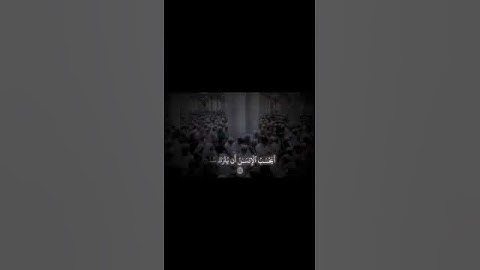 سورة القيامة - الشيخ أحمد بن طالب