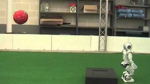 Robust feedback control of ZMP-based gait for the humanoid robot Nao (2 of 2)