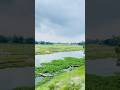 Besides the river #viral #travel #weather #hasibthesatisfier #boat #river #tree #nature #reels #100k