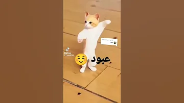الحلو عبود عبود 