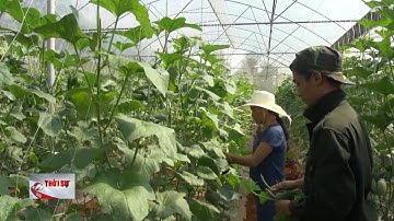 Đề xuất tiếp tục miễn thuế sử dụng đất nông nghiệp đến hết 2030