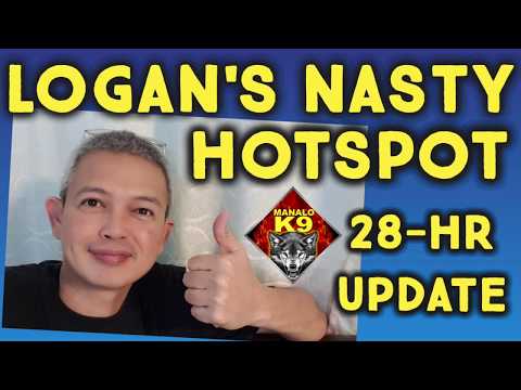 HOW TO CURE DOG COAT HOTSPOTS - Followup