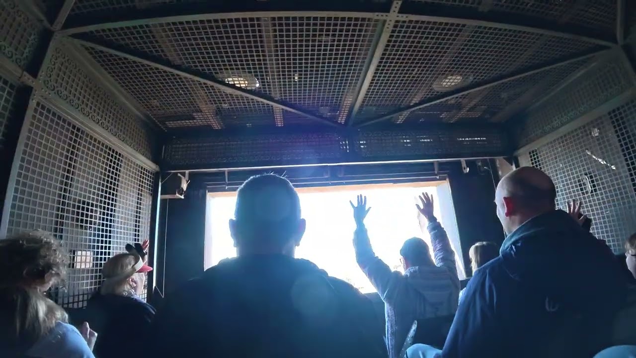 The Twilight Zone Tower of Terror Back Row POV @ Disney's Hollywood Studios