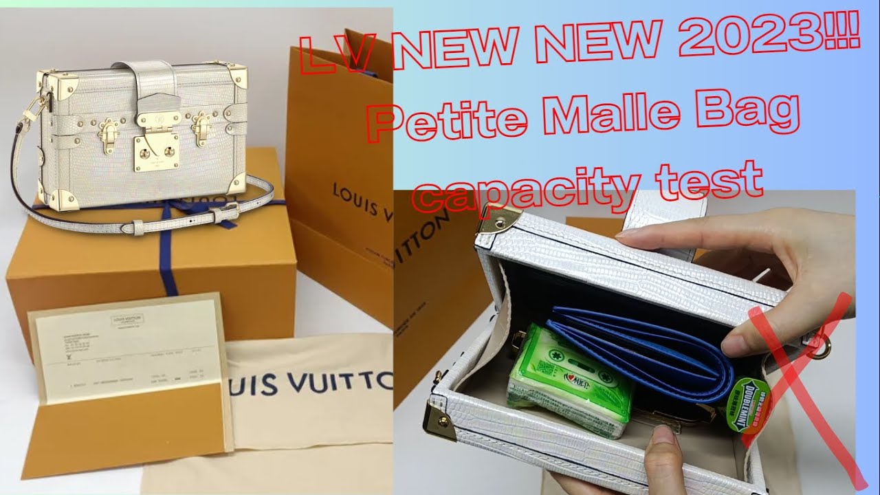 Louis Vuitton Petite Malle Souple Bag in 2023  Louis vuitton petite malle, Louis  vuitton, Bags