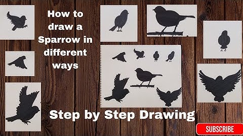 How to Draw Sparrow|different ways|Step by Step| Realistic Bird Drawing Tutorial for Beginners #art 