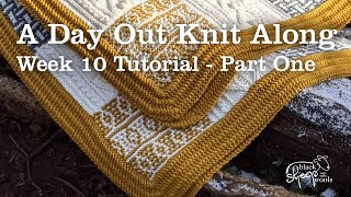 Celebrity Week 10 | A Day Out Knit Along Blanket - Blocking knitted squares Profile