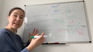 Trigger point energy crisis video