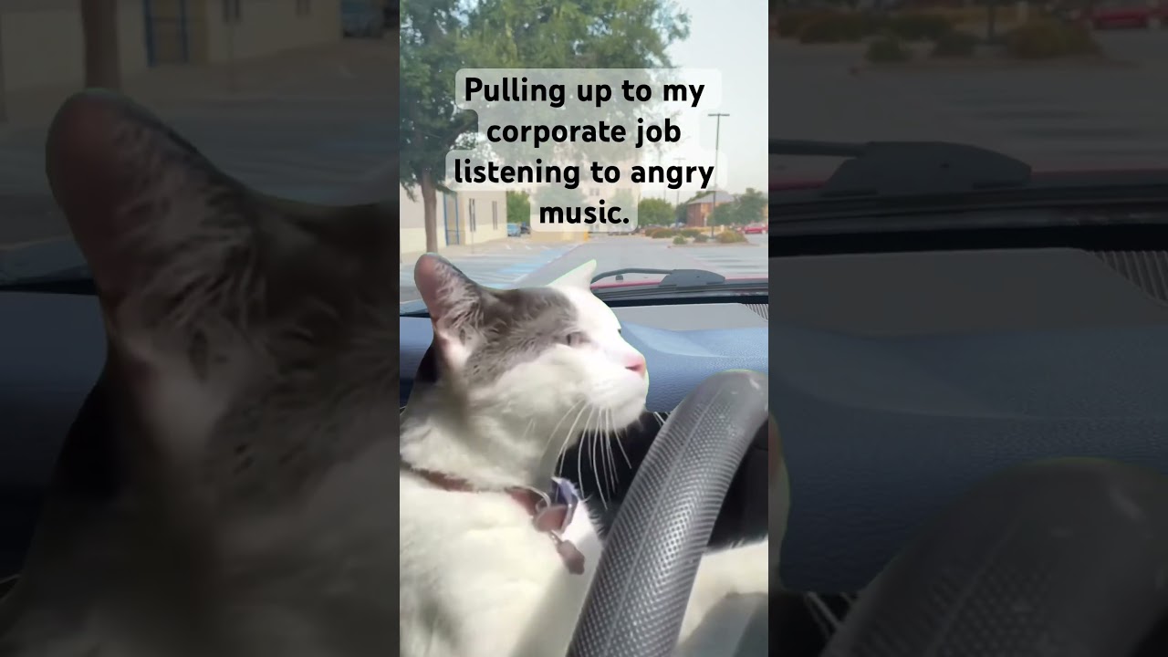 Angry music makes me happy 😆 