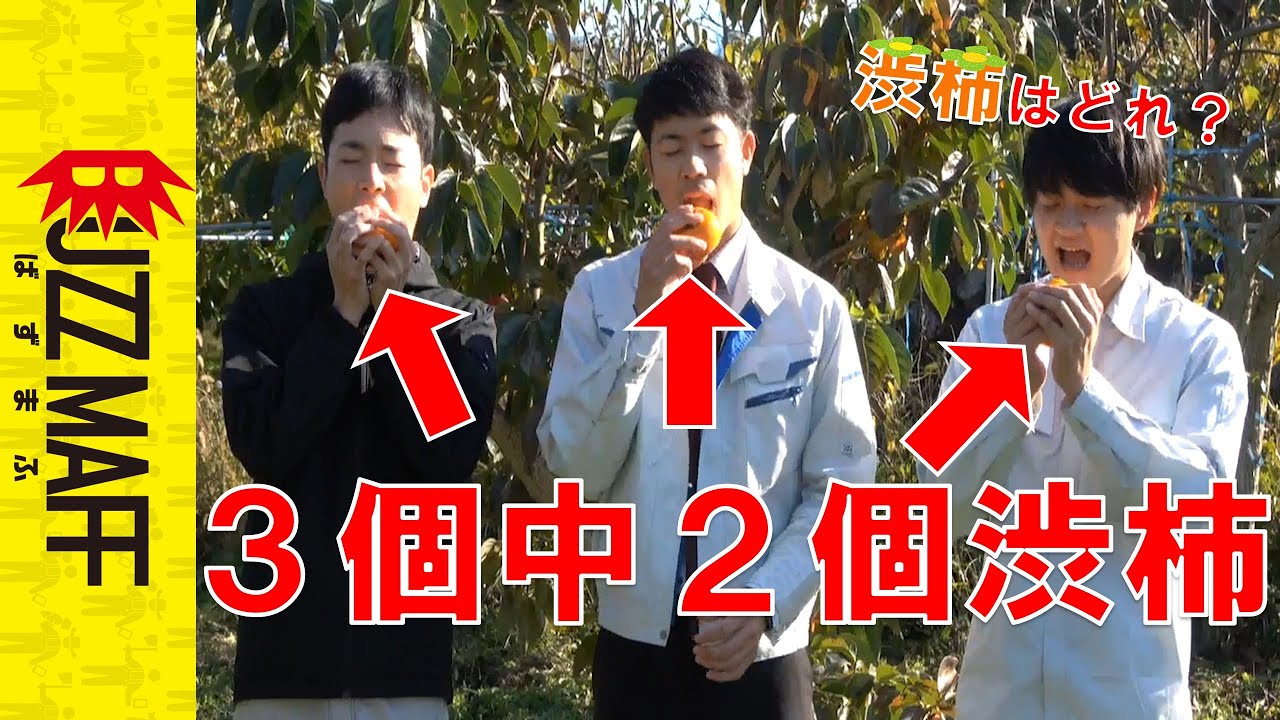 【検証】農水省職員なら渋柿を顔色ひとつ変えずに食べられる説ｗｗｗ　となりの近畿