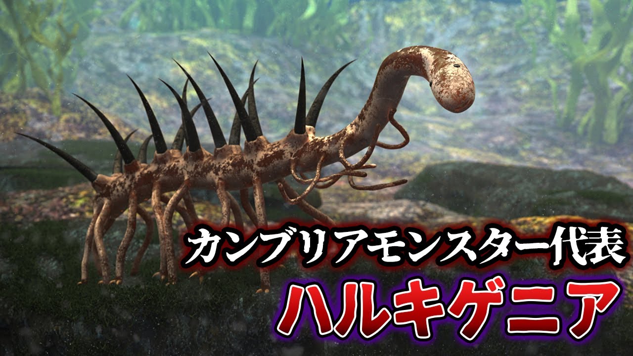 【ゆっくり解説】カンブリア紀に誕生した奇妙な生物　ハルキゲニア　その謎と人気の理由を探る