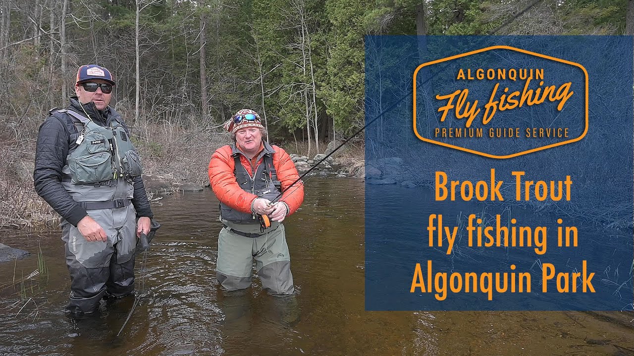 Algonquin Fly Fishing - Fly Fishing, Ottawa Valley