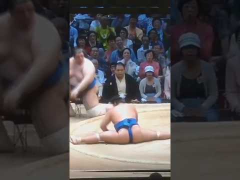 sumo ko #shorts