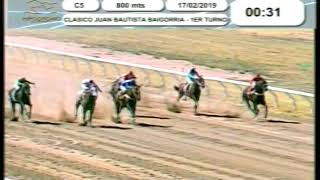Hipódromo La Punta - (17-02-2019) Carrera 05