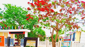 Trường PT DTNT huyện Lục Nam