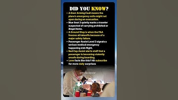 Airline Codes You Were NEVER Supposed to Hear