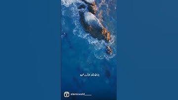 سورة الزمر | أكـــتـــب مـــا تـــؤجـــر عـــلـــيـــه 💙#اجر_لي_ولك