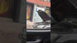 Alternate side parking HACK