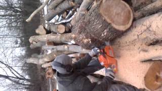 Tree Service Firewood Sales - Clifton Park NY Ballston Spa NY Saratoga NY