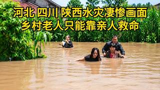 Devastating Flood Scenes in Hebei, Sichuan, Shaanxi, and Yunnan: Over 10 Cats Survive the Floods,...