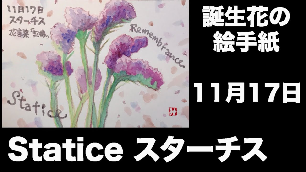 誕生花の絵手紙 11月17日 Statice スターチス Youtube