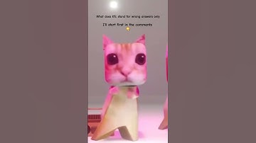 What does Kfc stand for wrong answers only #funny #funnymemes #funnyvideo #lmfao #funnyshorts #cat