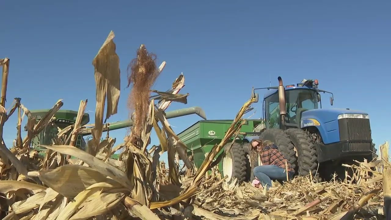 Farm Photography in Central Illinois