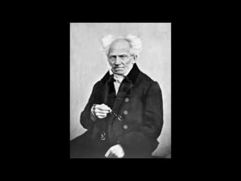 Video: Schopenhauer Arthur: Biografía, Carrera, Vida Personal