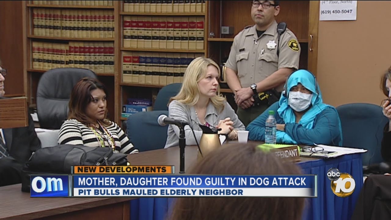 Mother Daughter Found Guilty In Pit Bull Attack That Led To Neighbors Death Youtube