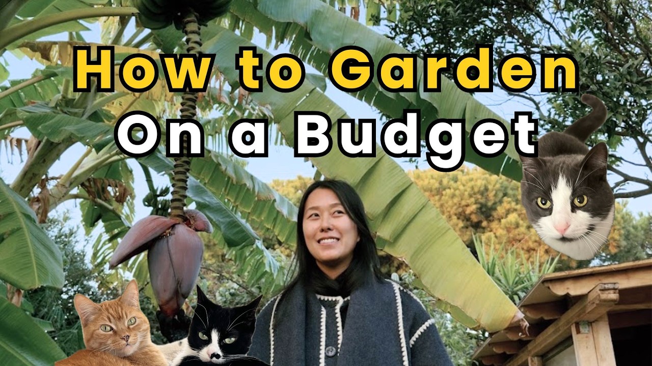 Gardening on a Budget