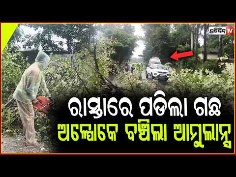 ରାସ୍ତାରେ ପଡିଲା ଗଛ, ଅଳ୍ପୋକେ ବର୍ତ୍ତି ଯାଇଛି ଆମ୍ବୁଲାନ୍ସ,ଘଣ୍ଟାଏ କାଳ ରାସ୍ତା ଅବରୋଧ ! road issue in