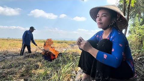 Lai Rai Với Món Cá Lóc Nương Rơm Trên Đồng l Ánh Hồng Miền Tây 