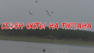 Охота на турпана в Якутии, сезон 2021.