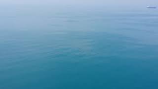 North from Aleutian islands Unimak strait