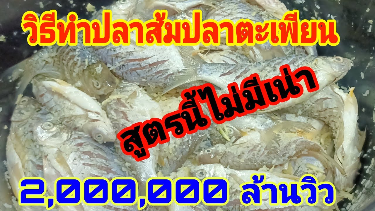 วิธีทำปลาส้มปลาตะเพียนง่ายๆ สูตรนี้ไม่มีเน่า บอกหมดทุกขั้นตอน ทำกิน ทำขาย