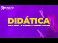 Didática - Processo de Ensino e Aprendizagem | AO VIVO