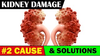 #2 Cause Of Kidney Problems & Damage + 7 Natural Solutions