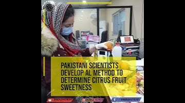 AI Determines Citrus Sweetness #news #worldfactology #shorts #breakingnews #ai #fruit