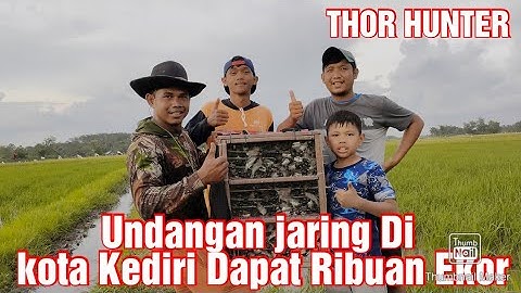 #jaring#Emprit# Undangan Jaring Emprit Di Kota Kediri