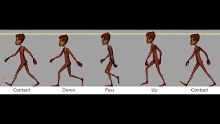 walk cycle progressive with redirection offset