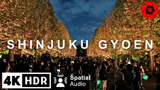 Shinjuku Gyoen Autumn Illumination 2023 - 4K HDR Spatial Audio